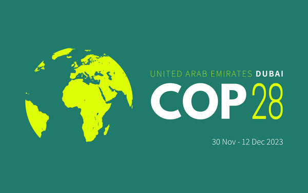 Crafting a Sustainable and Inclusive Energy Transition: Insights from COP28, IRENA, and GRA