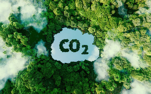 Energy Efficiency and Greenhouse Gas Emissions: EU's Path Towards Sustainability