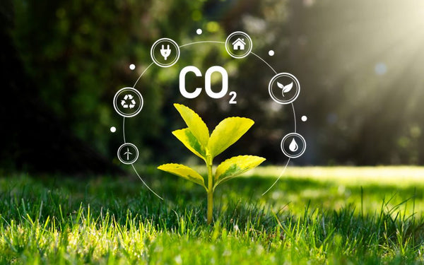 Strategies for Reducing Carbon Emissions in Key Sectors